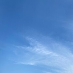 Obraz premium Sky and Cloud
