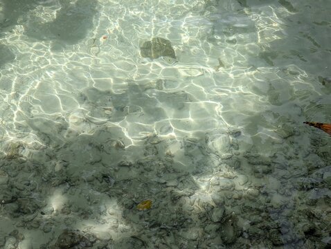 Sunlight creates shimmering reflections on crystal-clear shallow tropical water, revealing rocks and coral fragments beneath the calm surface in a pristine coastal environment.