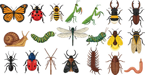 Detailed Garden Insect and Bug Vector Set Featuring Butterfly Ladybug Bee Praying Mantis Beetle Caterpillar and Snail © Feroz