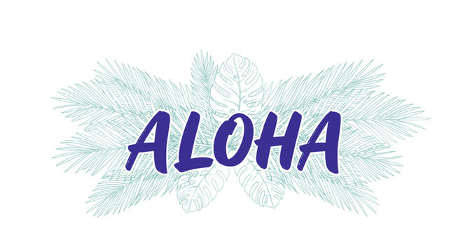 Aloha greeting written in bold blue font over a delicate background of hand drawn tropical palm and monstera leaves in light teal.