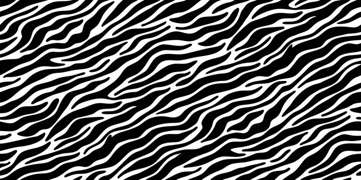 Seamless black and white zebra stripe pattern abstract animal print background texture
