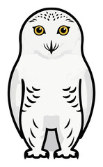 Obraz premium Snowy owl front view minimalist illustration. Generative AI