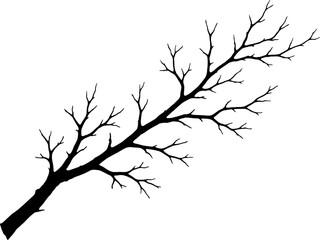 Fototapeta premium Tree Branch Silhouette