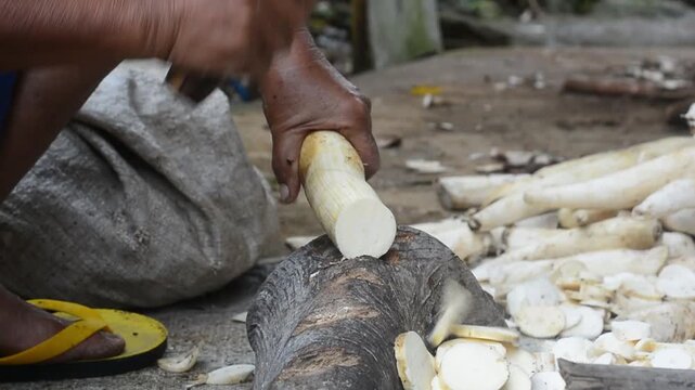 A young woman preparing cassava as the main ingredient for traditional food in a home kitchen.