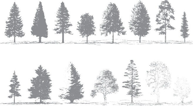 Minimal tree and shrub vector outlines for site planning Landscape design vegetation sketches with front view trees