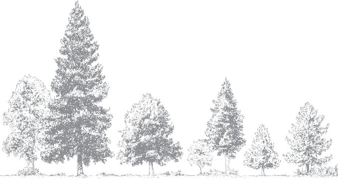 Minimal tree and shrub vector outlines for site planning Landscape design vegetation sketches with front view trees