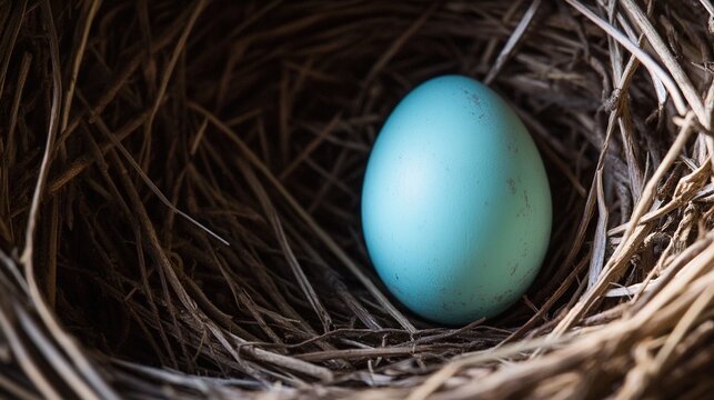 differently. Single cuckoo egg lying in a nest belonging to a smaller bird. wildlife magazines, conservation campaigns, designed for eco-tourism storytelling.