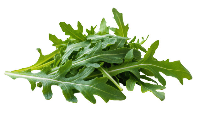 Fresh green arugula leaves a healthy salad ingredient, isolated on transparent background
