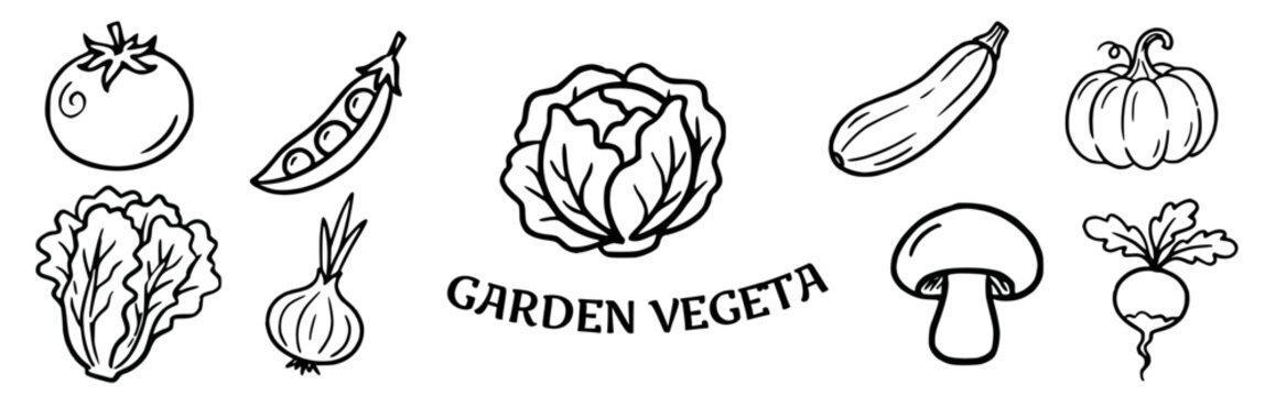 Garden vegetables Doodle Vector Illustration