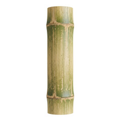Fototapeta premium Segment of a Green Bamboo Stalk with Nodes