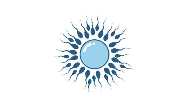 Sperm Cells Fertilizing Egg Cell, Conception, Reproduction Concept Illustration