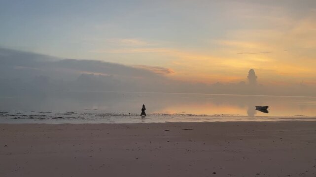 aerial view ocean sunrise empty zanzibar beach
