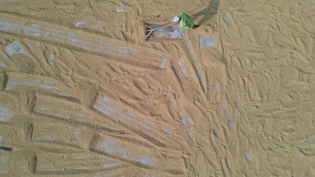 21 May 2026: Aerial view of a worker raking golden rice grains spread across a drying floor, creating textured patterns under bright sunlight.