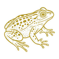 Naklejka premium PNG Vintage illustration of spotted frog.