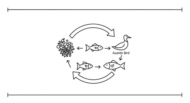 Aquatic Bird and Fish Ecosystem Diagram: Food Chain Cycle