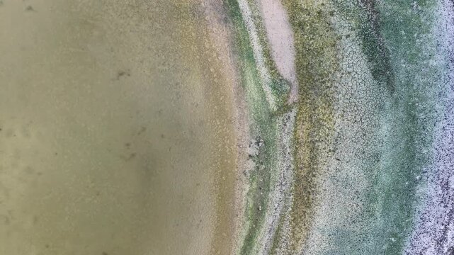 Aerial view of Yucalpeten lagoon showing textures of cracked earth, green algae, and shallow water in Progreso, Yucatan, Mexico.