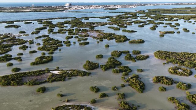 Aerial view of Yucalpeten mangroves and shallow lagoon waters with the city skyline in the distance, Progreso, Yucatan, Mexico.