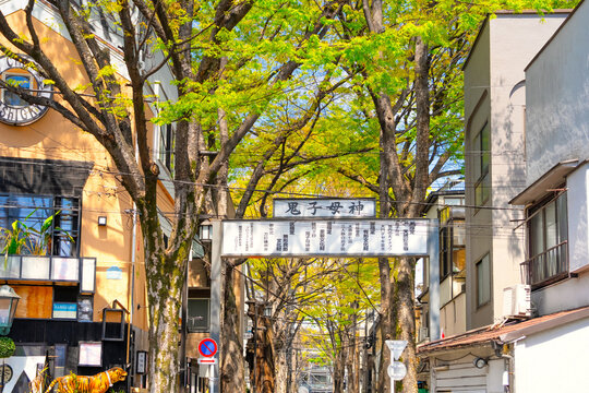 東京・豊島区 国指定重要文化財 鬼子母神 表参道