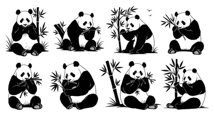 Cute Panda Bears Eating Bamboo - Set of 8 Illustrations © kholid