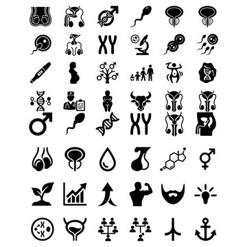 Men health and fertility silhouette icons pack. Black flat vector icon collection for urology, genetics, XY chromosomes, pregnancy test, and male anatomy