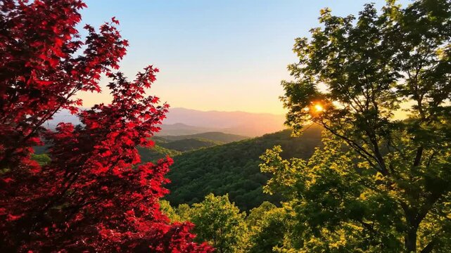 Sunset viewed from mountain top with vibrant red and green trees