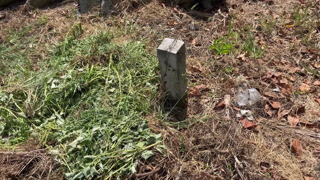 Concrete Boundary Marker Stake on Empty Land Plot