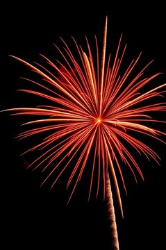 A vibrant red and white firework bursts in the dark night sky, illuminating the surroundings with its colorful display.
