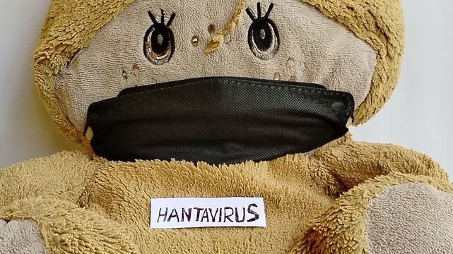 Illustration of a doll wearing a protective mask, symbolizing awareness of hantavirus, a virus genus from the Bunyaviridae family known to cause hantavirus pulmonary syndrome and respiratory health ri