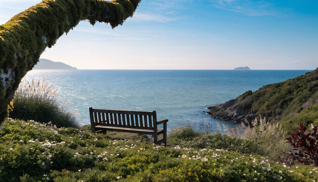 A serene garden bench overlooking a tranquil ocean view
