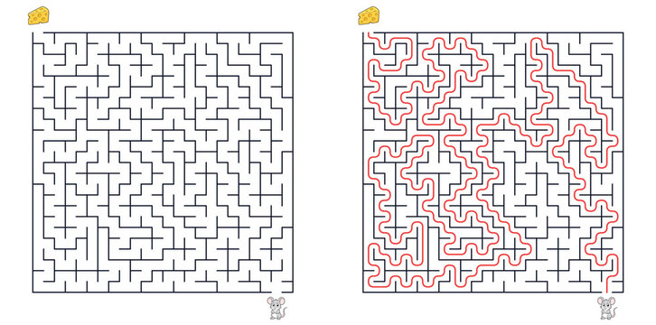 Square maze puzzle mouse path to cheese with solution for attention