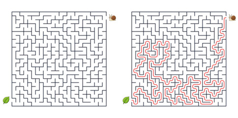 Square maze puzzle snail path to leaf with solution for attention © Alex