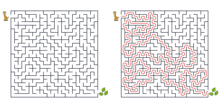 Square maze puzzle giraffe path to leaves with solution for attention