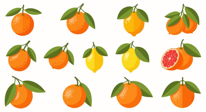 Fresh Citrus Fruits Collection: Oranges, Lemons, Grapefruit, Isolated