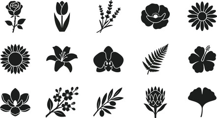 Collection of 15 black floral and botanical silhouette on white background, rose tulip lavender poppy © Graphic Shops
