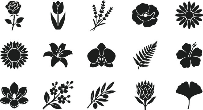 Collection of 15 black floral and botanical silhouette on white background, rose tulip lavender poppy