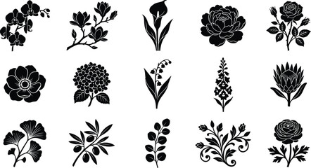 Collection of black silhouette floral and botanical on white background, orchid magnolia calla lily © Graphic Shops