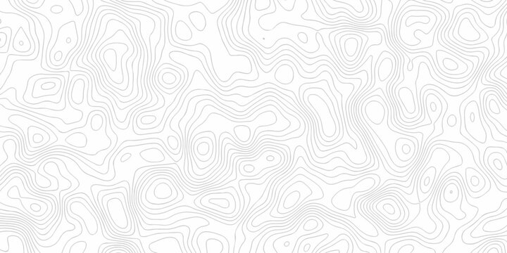 White topography map line geometric grid outline curve counter map wavy design. topography relief discovery area black spiral line space landscape texture background.