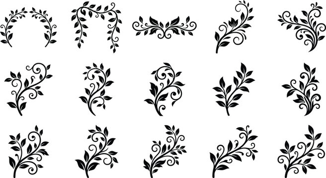 Collection of black swirling floral and leaf ornaments on white background, floral ornament flourish