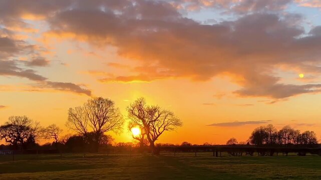 A stunning sunset over a rural area or a vast grassy field. The silhouettes of several large, leafless trees are visible in the center, with the sun slowly setting just behind them.