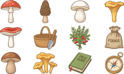 Mushroom foraging vector illustration set with wild fungi plants basket compass and field guide book isolated on white background © VactorZone