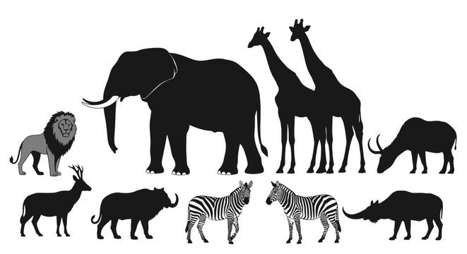 Wildlife silhouettes of various animals in safari setting with white background