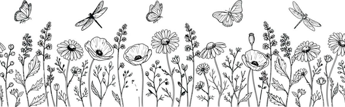 Hand drawn wildflower meadow border with poppies daisies butterflies and dragonflies for floral background design monochrome vector illustration