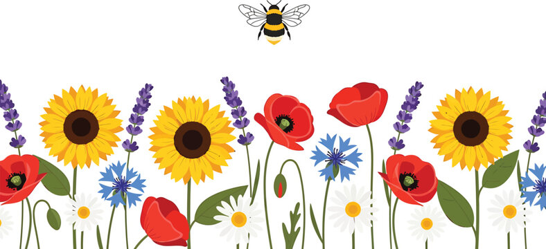 Wildflower garden border with sunflowers poppies lavender and daisies featuring a bumblebee flying above on white background vector illustration