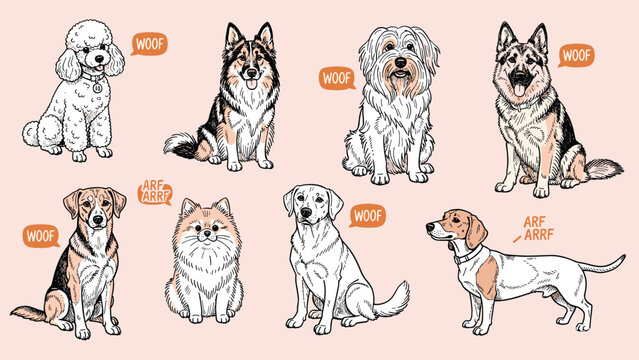 Cute Hand Drawn Dog Breed Illustration Set With Speech Bubbles