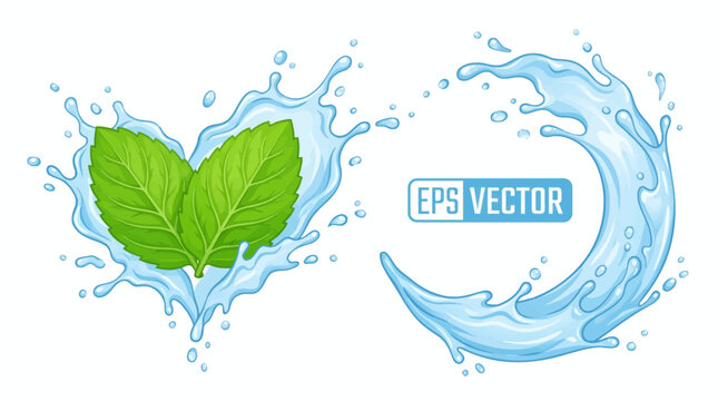 Fresh mint leaves surrounded by splashing water waves in a creative vector graphic design for refreshing concepts and liquid splash effects in digital art.