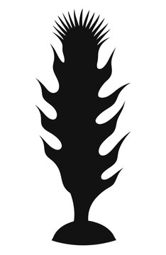 Titan Arum Silhouette