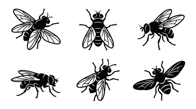 different black fly silhouettes on a clean white background, minimalist vector style.