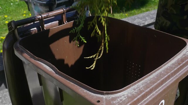 Medium shot of a person using a garden rake to load and pack green thuja trimmings into a brown bio waste bin