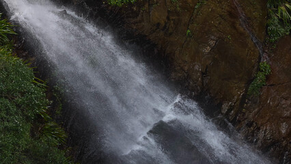 Obraz premium Coomera Falls Cascading Down Dark Rocks in Lamington National Park Rainforest