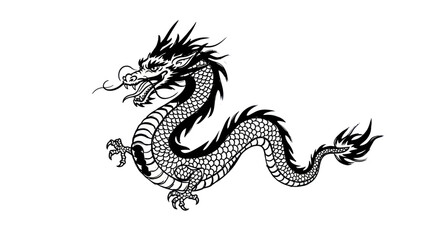 Fototapeta premium Traditional Chinese Dragon Illustration - Black and White